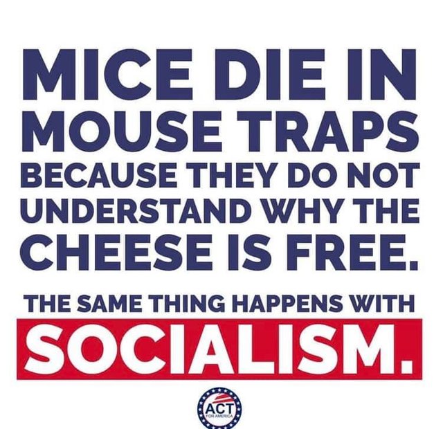 Socialism Free Mice Cheese Traps 51351614_1041436362715198_6138710315661000704_n.jpg