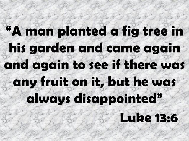 Parable of Jesus. A man planted a fig tree in his garden and came again and again to see if there was any fruit on it, but he was always disappointed. Luke 13,6.jpg
