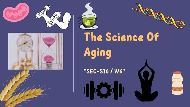 The Science Of Aging.jpg