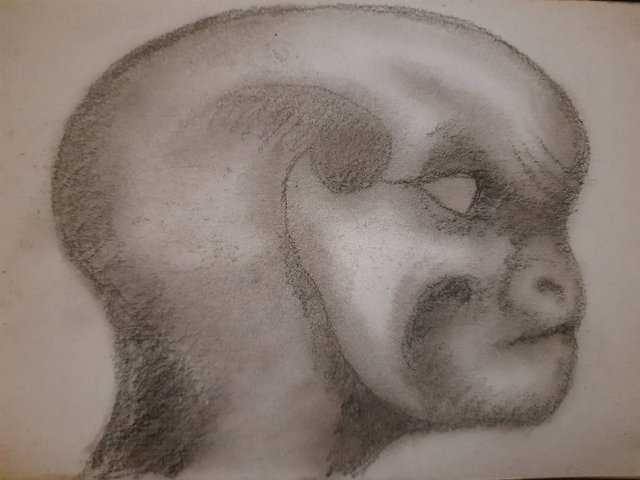 20250812_102646.jpg