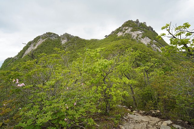 b-DSC01365.JPG