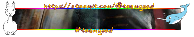 teamgoodbanner1.png