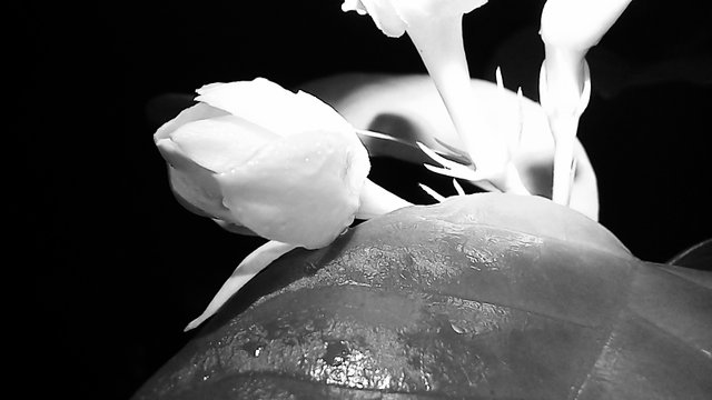 20250625_213018.jpg