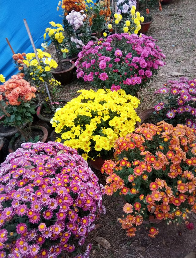 IMG_20250908_065616.jpg