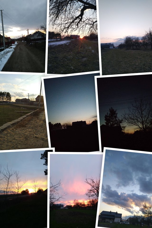 IMG_20210309_181811-COLLAGE.jpg