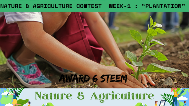 Nature & Agriculture Contest Week-1 Plantation.png