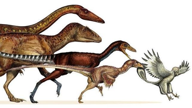 evolucion-dinosaurios-pajaros--644x362.jpg