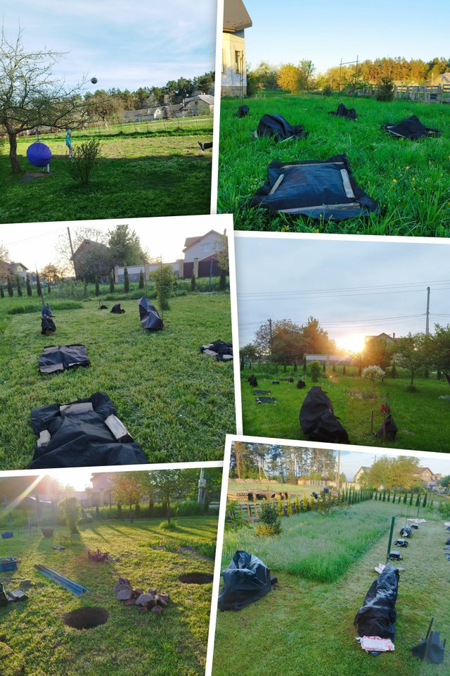 IMG_20240407_180923-COLLAGE.jpg