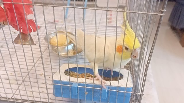 IMG20250606193208.jp