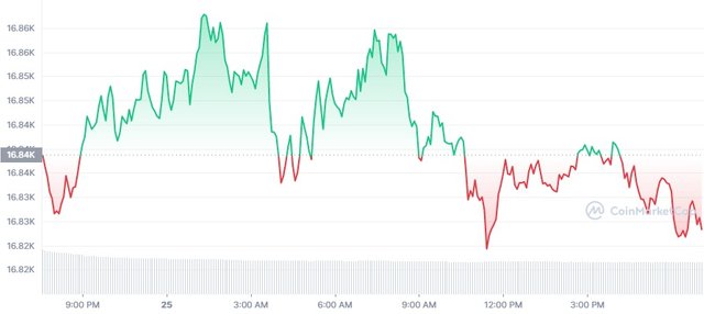 BTC_1D_graph_coinmarketcap.jpg