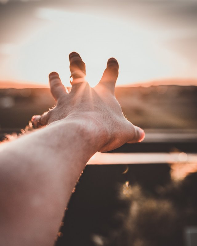 blur_close_up_dawn_depth_of_field_dusk_focus_hand_Left_hand-1561891.jpg!d.jpg