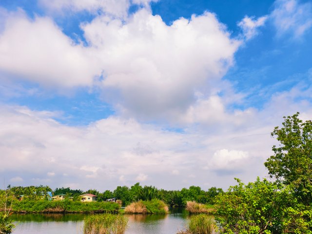 IMG_20250830_085247.jpg