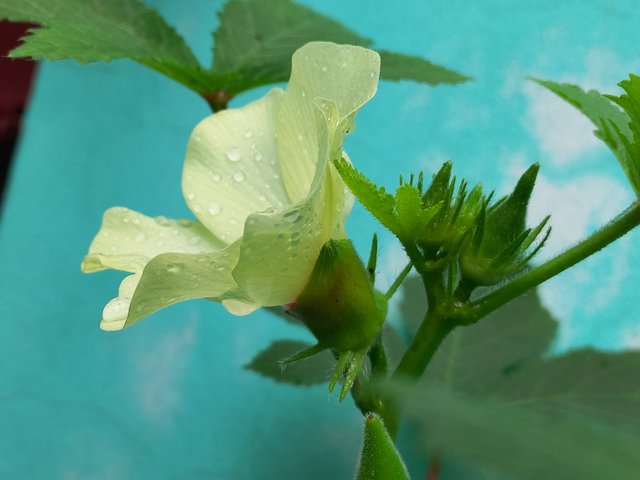 20230911_093730.jpg