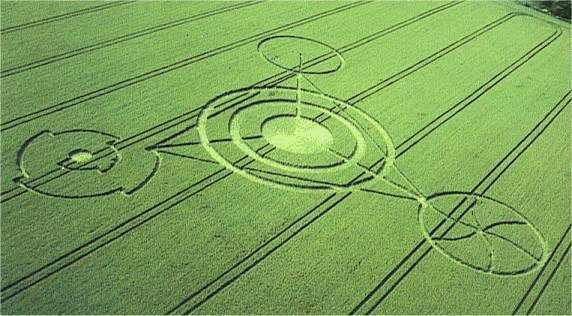 crop-circle5.jpg