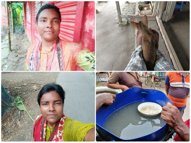 PhotoCollage_1727879157960.jpg