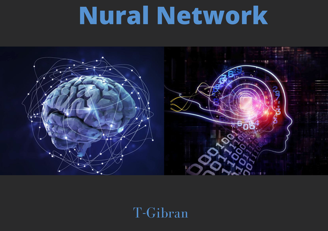 Neural Network.png