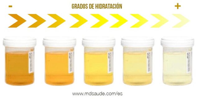 grados-de-hidratacion.jpg