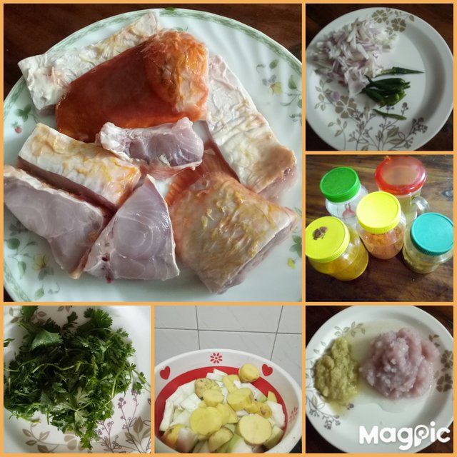 MagPic_20220227_215409439.jpg
