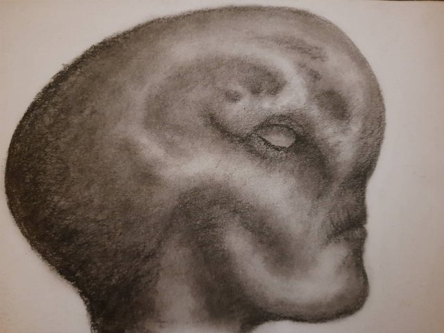 20250813_110014.jpg