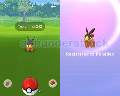 100iv Ditto : r/PoGoAndroidSpoofing