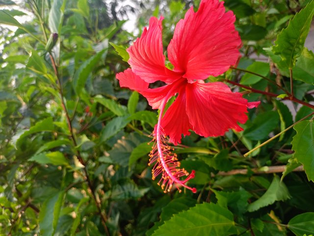 IMG20250517173240.jpg