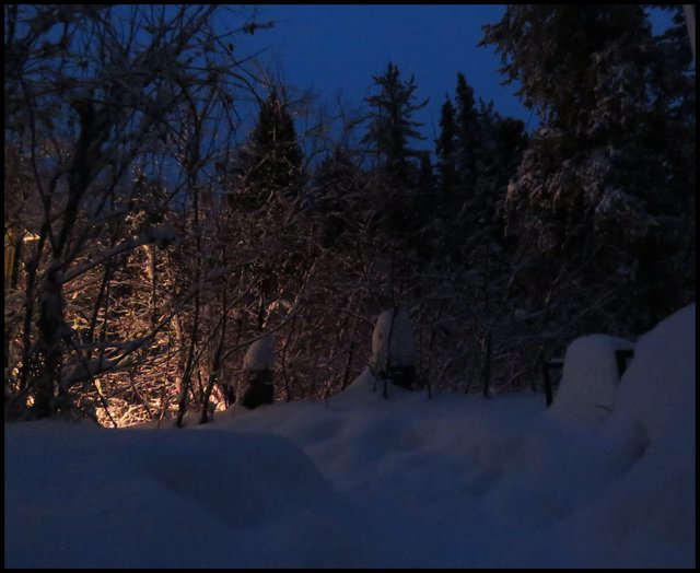 Long exposure early dawn blue sky tree silhouettes path in snow leads to lighted area from grow light.JPG