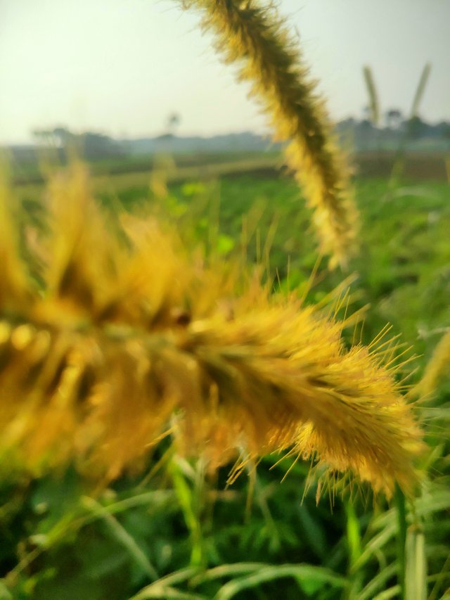 20201202_221051.jpg