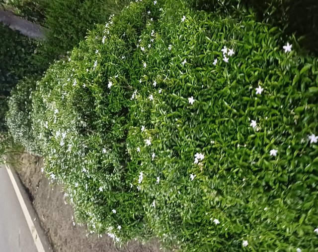 20250419_231041.jpg