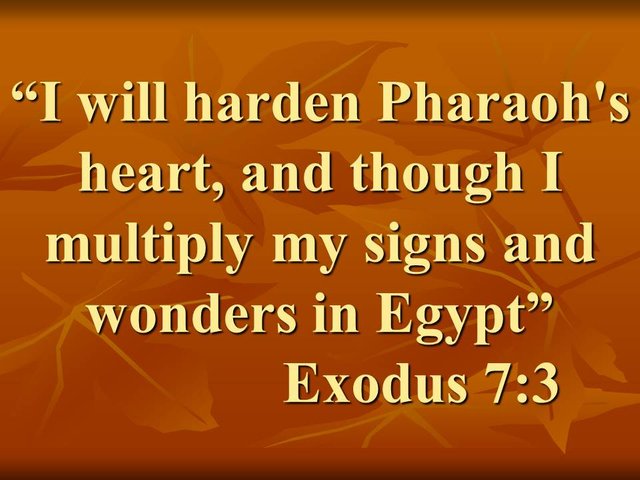 Stubborn people in the bible. I will harden Pharaoh's heart, and though I my tiply my signs and wonders in Egypt.jpg