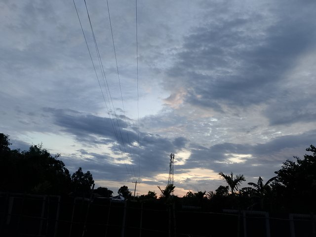 1000045810.jpg