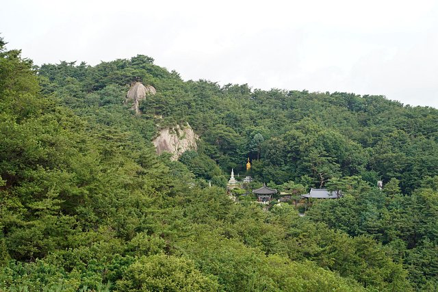 b-250723-071729.jpg