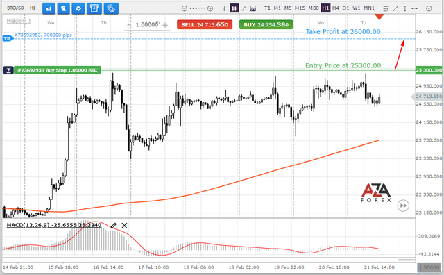 BTCUSD-21-02-2023-l.png