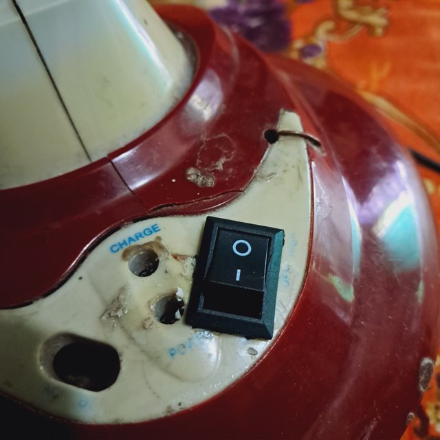 1000033252.jpg