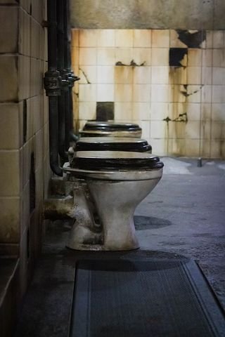 toilets-5885484__480.jpg