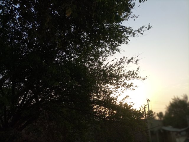 IMG_20250603_054018_769.jpg