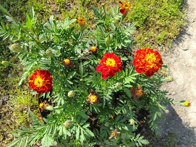 IMG_20250608_173333.jpg