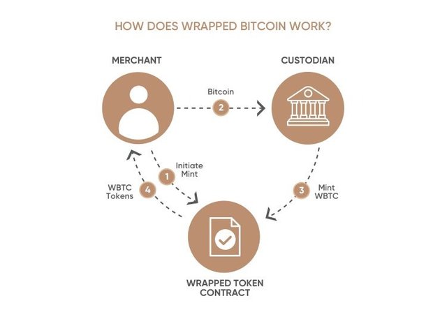 infographics-wrapped-bitcoin-3.jpg