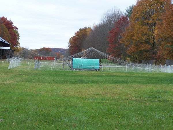 Pasture pen crop October 2019.jpg