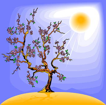 tree-147460__340.png