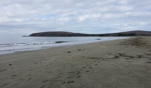 Doran Beach at the Bodega Bay.jpg