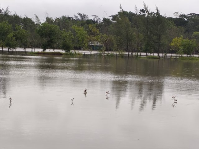 IMG_20250531_173346.jpg
