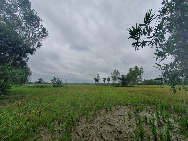20250709_153903.jpg