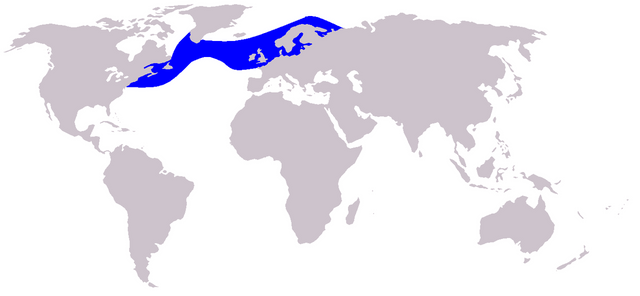 Cetacea_range_map_Atlantic_White-sided_Dolphin.PNG