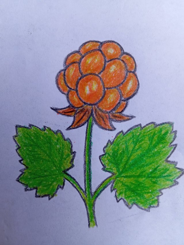 1000063279.jpg