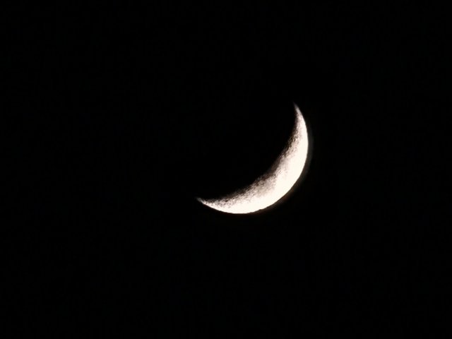 IMG_20250926_193933_550.jpg