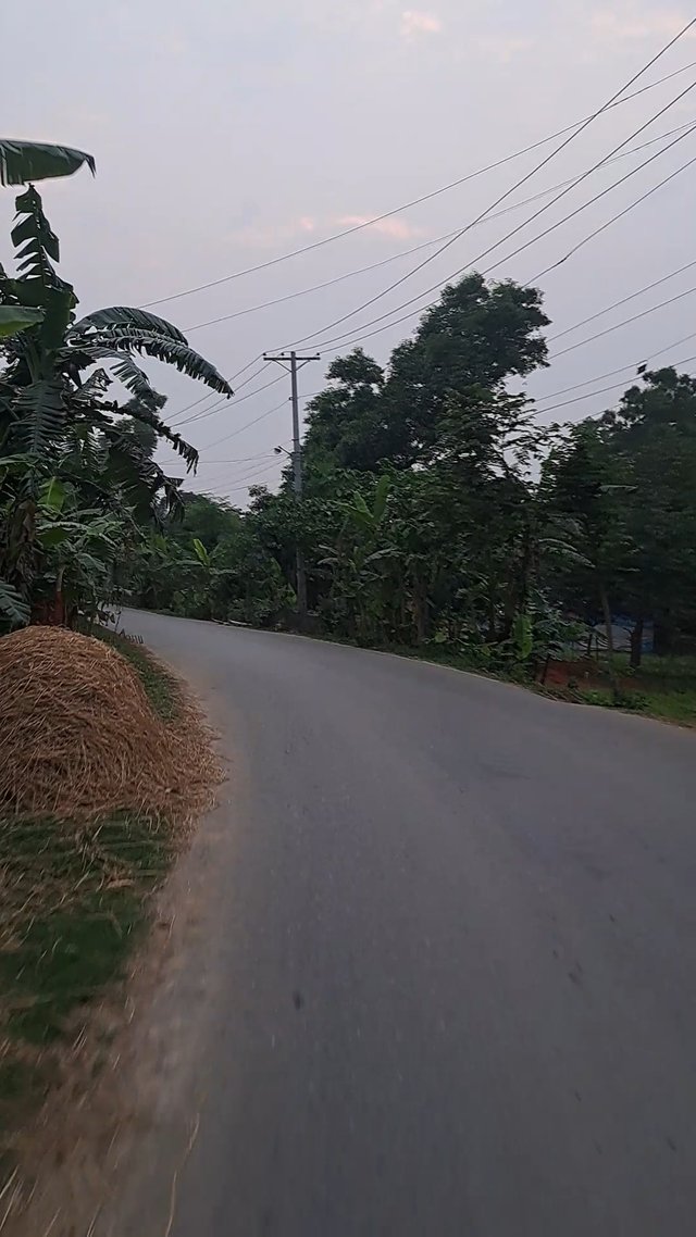 1000040301.jpg