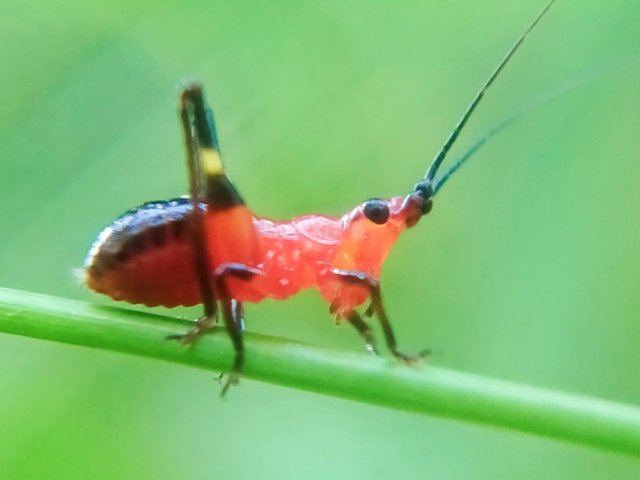 IMG_20211223_210615.jpg