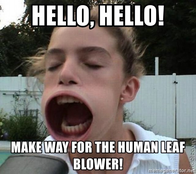 hello-hello-make-way-for-the-human-leaf-blower.jpg