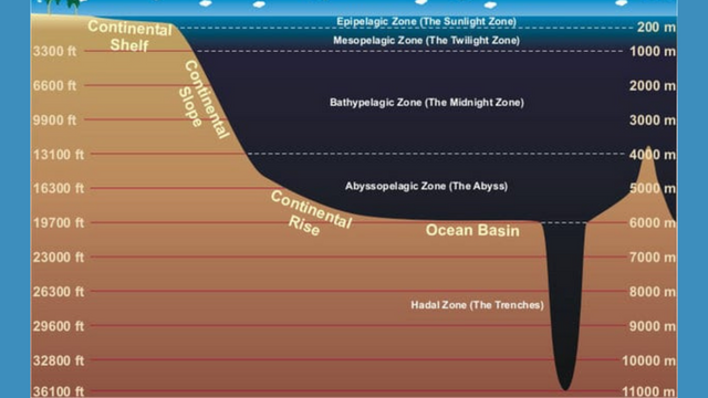 if he took the highest point on land and submerged it you would still have more than a mile between you in the deepest point in the oceans (4).png