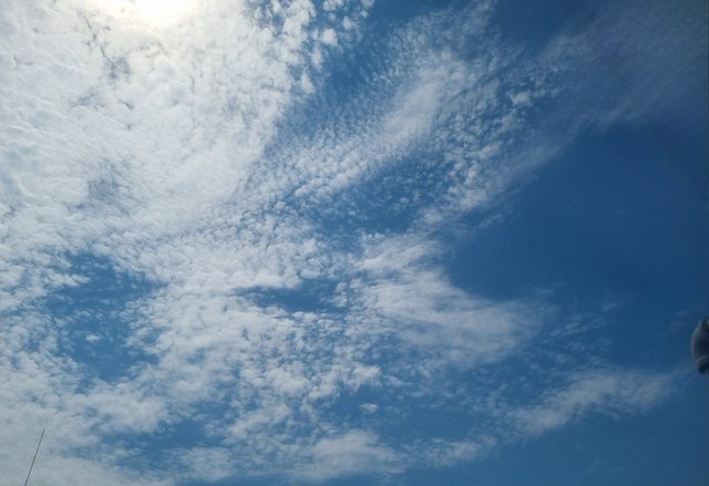 20250818_130225.jpg